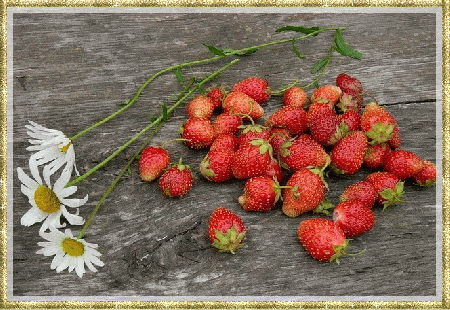 Truskawki i trzy kwiaty